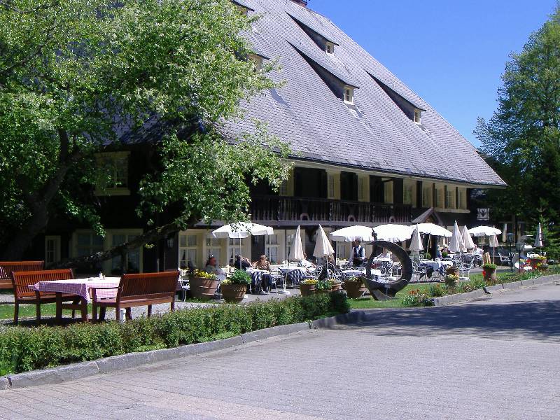 Parkhotel Adler Hinterzarten (19) 